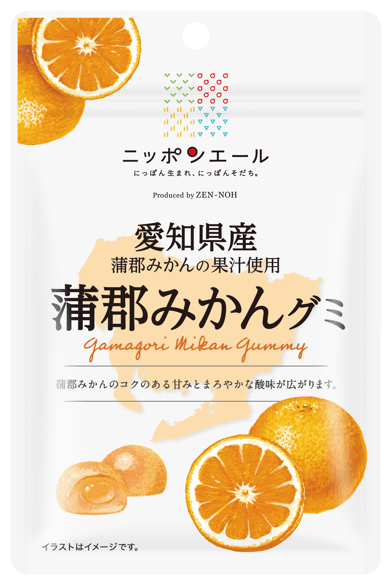愛知県産蒲郡みかん