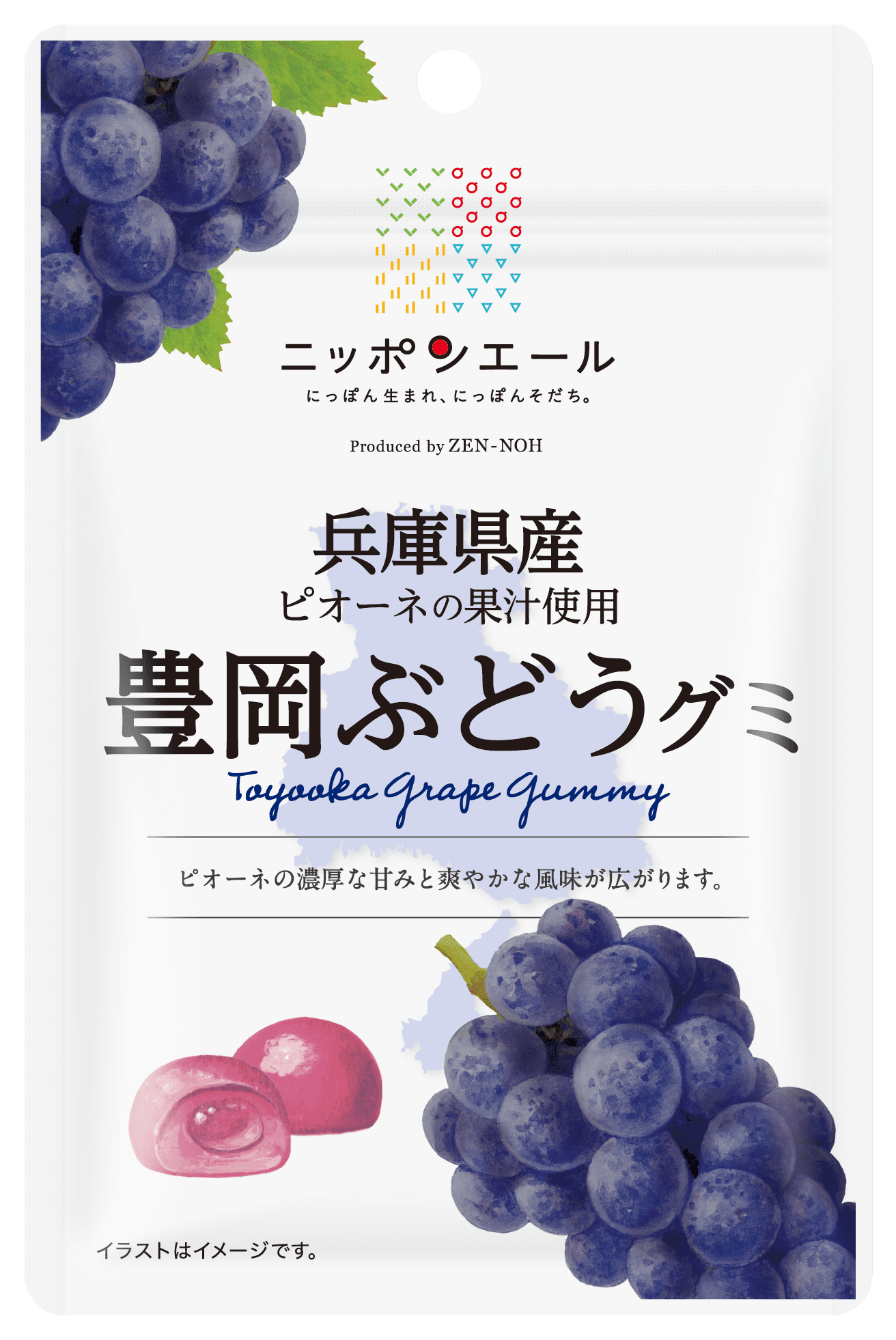 兵庫県産豊岡ぶどう