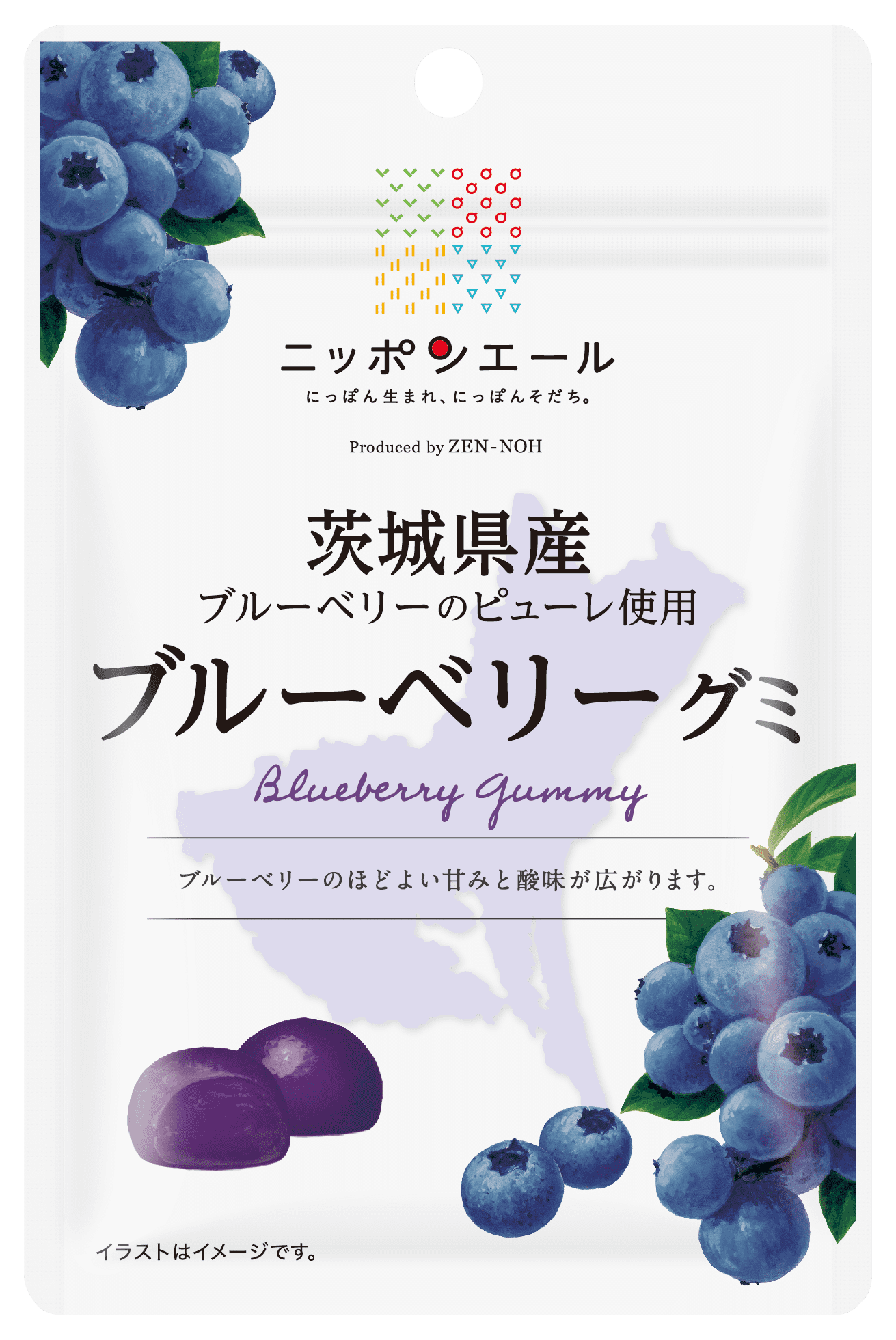 茨城県産ブルーベリー